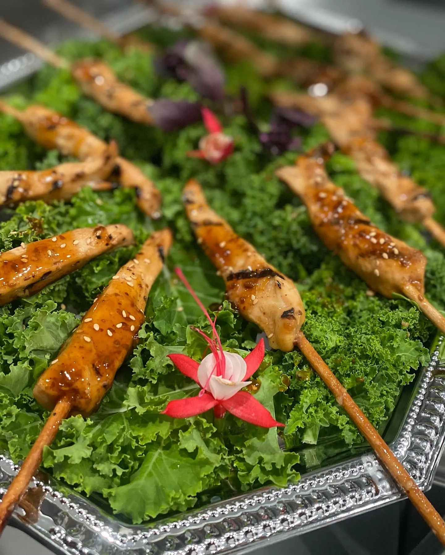 Chicken Teriyaki Skewer